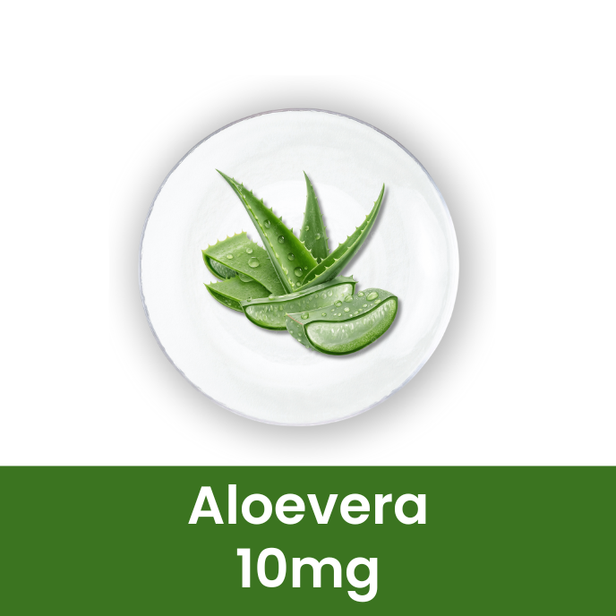 Liver Care Syrup | Ayurvedic Herbal Liver Support | 500 ml