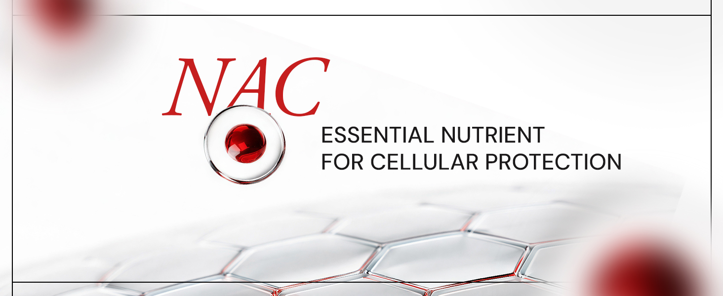 Ace Blend Bio Berberine + NAC | Blood Sugar & Metabolic Support Supplement with AbsorBerine, Cinnamon Extract, Chromium Picolinate & Piperine | For Men and Women | 60 Veg Capsules