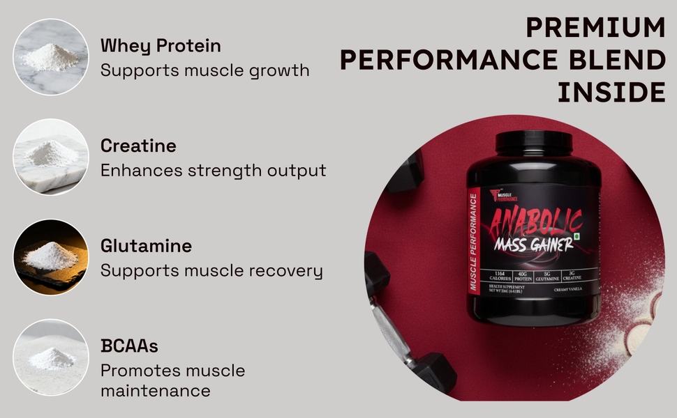 Anabolic Mass Gainer, 1164 Calories & 40g Protein, Creatine & Glutamine Blend, Digestive Enzymes & Probiotics, Creamy Vanilla, 2kg
