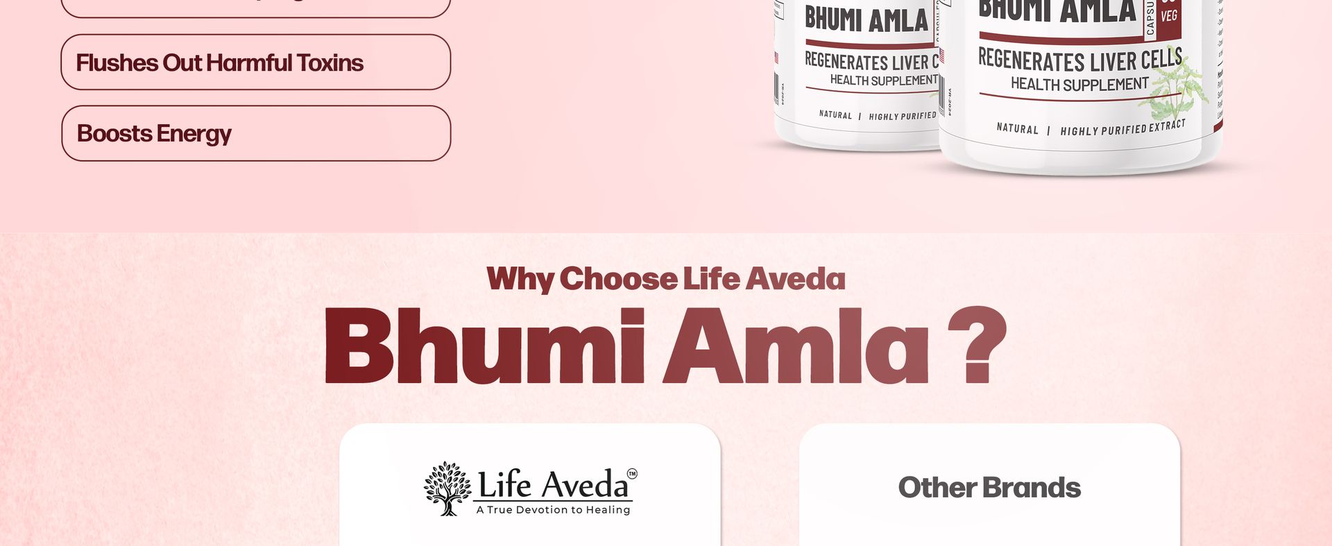 Life Aveda Bhumi Amla Capsules 60 (Free Diet Plan) - Phyllanthus Niruri for Liver Detox & Cleansing | Supports Digestion, Immunity & Healthy Skin | Natural Herbal Supplement for Liver Health - 60 Capsule (Pack of 1)