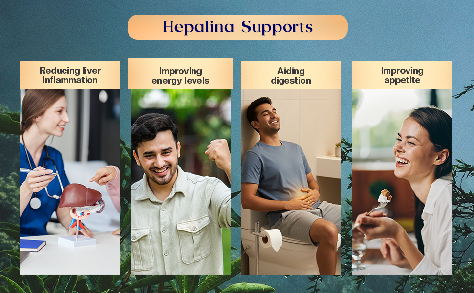 L’Amar Hepalina Ayurvedic Liver Care Capsules- 60 Capsules (Pack of 2)| For support in Liver Detox, Fatty Liver Management, Jaundice Relief & Digestive Wellness
