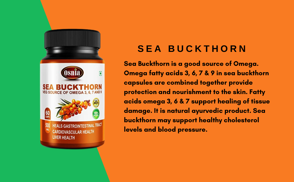 Sea Buckthorn Extract Capsules 500 Mg | Berry Powder Capsule | Rich Source of Vegan Omega 3 6 7 & 9, Supports Digestions, Cardiovascular Health & Liver Detox - 60 Capsules (Pack of 1)