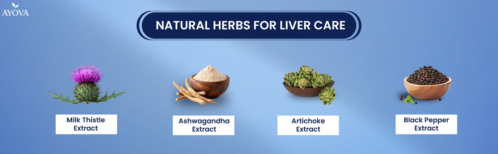 Milk Thistle Capsules | Liver Support | 60 Vegetarian Capsules