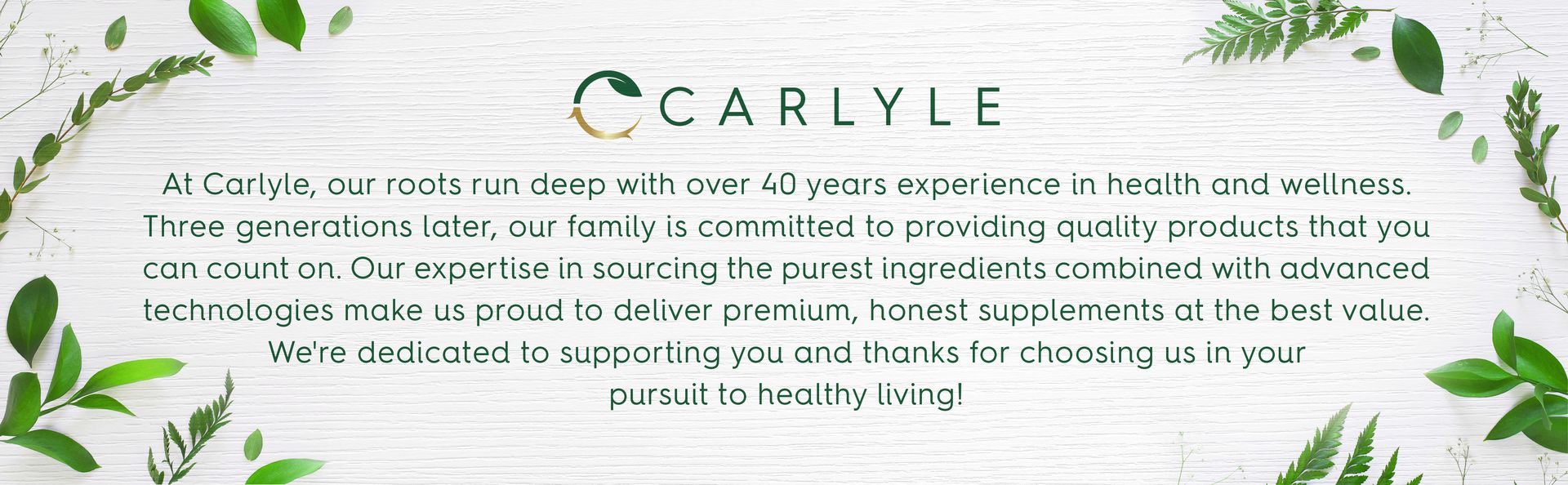 Carlyle Milk Thistle | 300 Capsules | Non-GMO, Gluten Free Extract