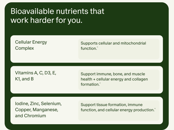 Seed DM-02 Daily Multivitamin - for Women & Men - 30-Day Supply with Jar