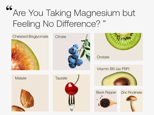 Magnesium Bisglycinate Complex, 400mg Elemental Magnesium with B6 & Zinc