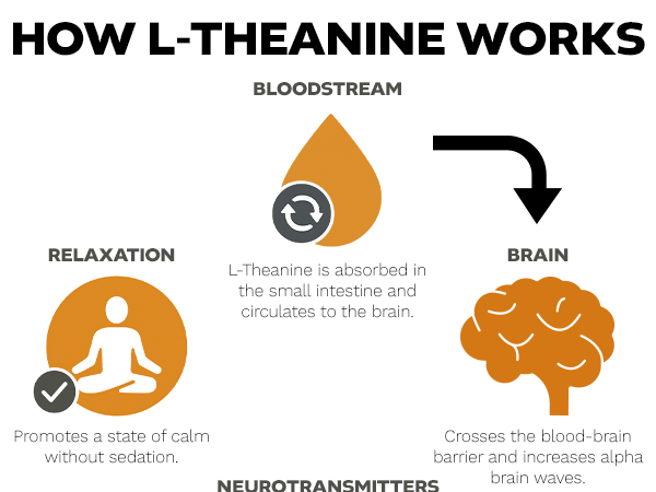 Nootropics Depot L-Theanine Capsules 200mg (90 Count) | Promotes Relaxation | Supports Healthy Stress Levels + Sleep Cycles | Promotes Cognitive Function + Focus | Amino Acid Supplement
