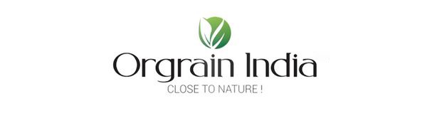 Orgrain India Organic Ginger Root Powder 100g | Pure & Natural | No Preservatives | Low Sodium | Perfect for Smoothies, Teas, Baking & Cooking | Handpicked from Sustainable Farms