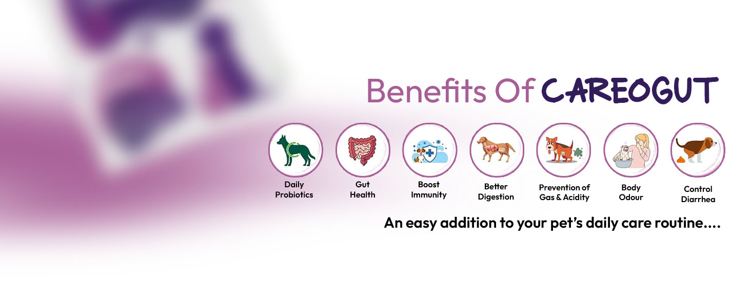 CAREOGUT Prebiotics & Probiotics for Dogs and Cats | Digestive Enzyme Blend | Probiotics Supplement for Gut Health | Cat & Dog Supplement for Daily Gut Support | Powder | 100 grm