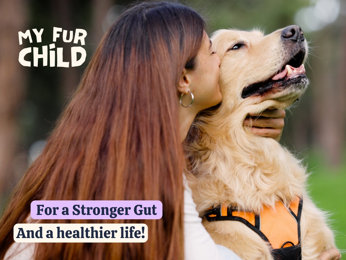Advanced Digestive Support for Dogs | 3.2 Billion CFU 9-Strain Probiotics, Digestive Enzymes, Pumpkin & Prebiotics | Supports Gut Health, Digestion & Stool Quality | Lasts Up to 60 Days