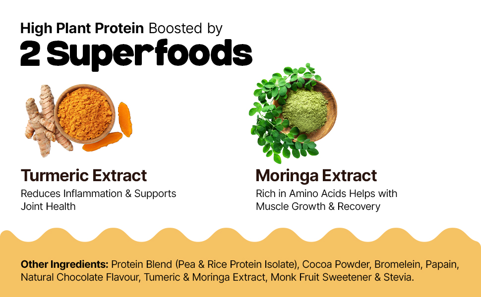 GOBBLERIGHT Plant Protein Powder Chocolate (500g)-28.5g Protein & 4.91g BCAA Per Serve|Isolate & Concentrate Pea Rice Powder with Turmeric & Moringa Extracts|No Added Sugar|Gut Friendly