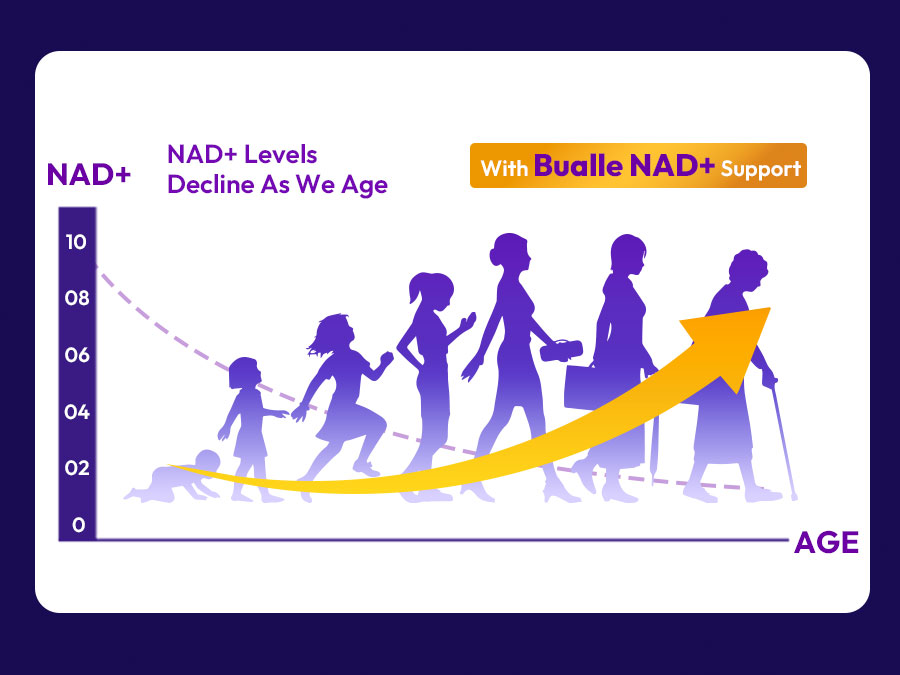 Liposomal NAD Resveratrol Supplement, NAD Supplements for Women & Men