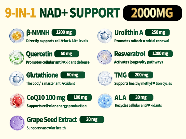 NMNH Supplement 2000mg, Liposomal NMN Alternative, Boosts NAD+ Levels