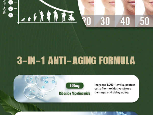 Airboy NAD+ Supplement, Liposomal Nicotinamide Riboside 900 mg with Resveratrol & Quercetin, NMN Supplement Alternative, Third-Party Tested, Anti-Aging, Energy, Focus- 80 Count