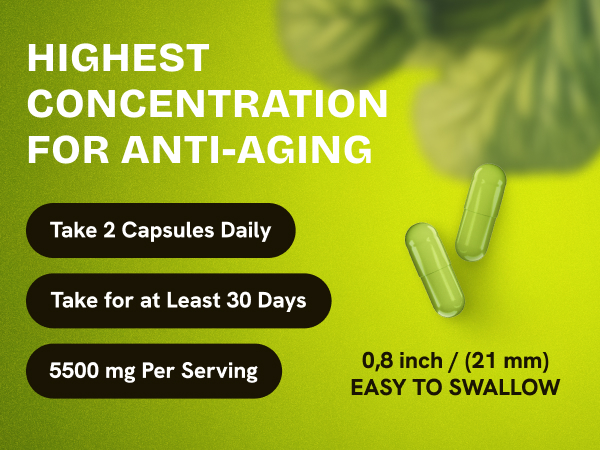 Liposomal NAD Supplement 500mg, NMN Supplement Alternative, 60 Capsules