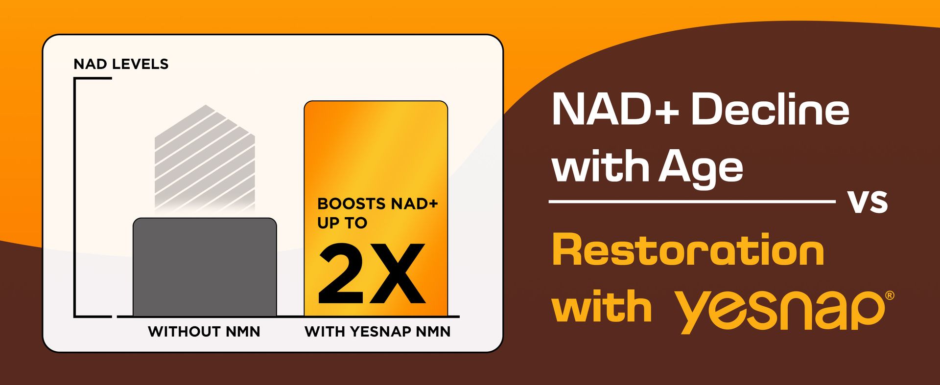NMN Liquid Supplement NAD+ 7-in-1 Support with Aging-Supportive Resveratrol, TMG, Quercetin, CoQ10, Grapeseed, PQQ, Apigenin Cellular Energy & NAD Levels, 30 On-The-Go Packets, Grape Flavor