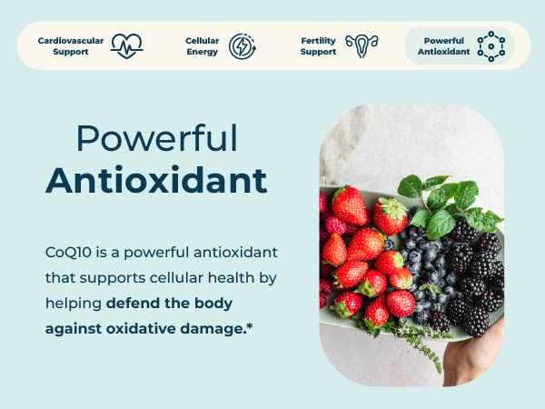 Pharma Nord - The Original CoQ10 • 100 mg High Absorption • 60 Softgels