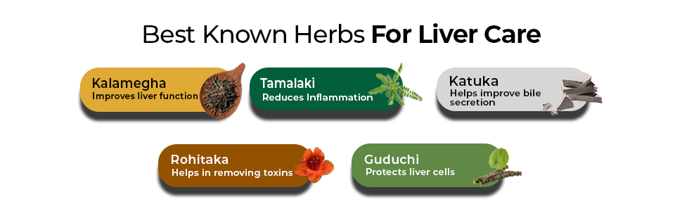 Zandu Livital Liver Detox Tablets – Clinically Proven for Liver Detox & Health Support in 2 Months | 90 Tabs | 100% Ayurvedic Formula with Bhringaraj & Guduchi | Ayurvedic Alternative to Milk Thistle