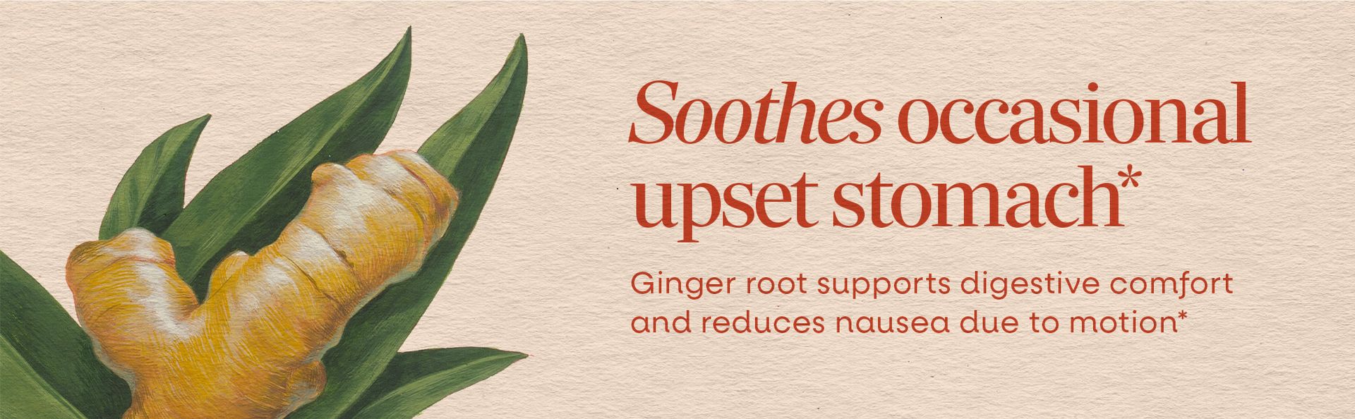 Nature's Way Ginger Root Capsules,1,100 mg per Serving, Vegan, 240 ct