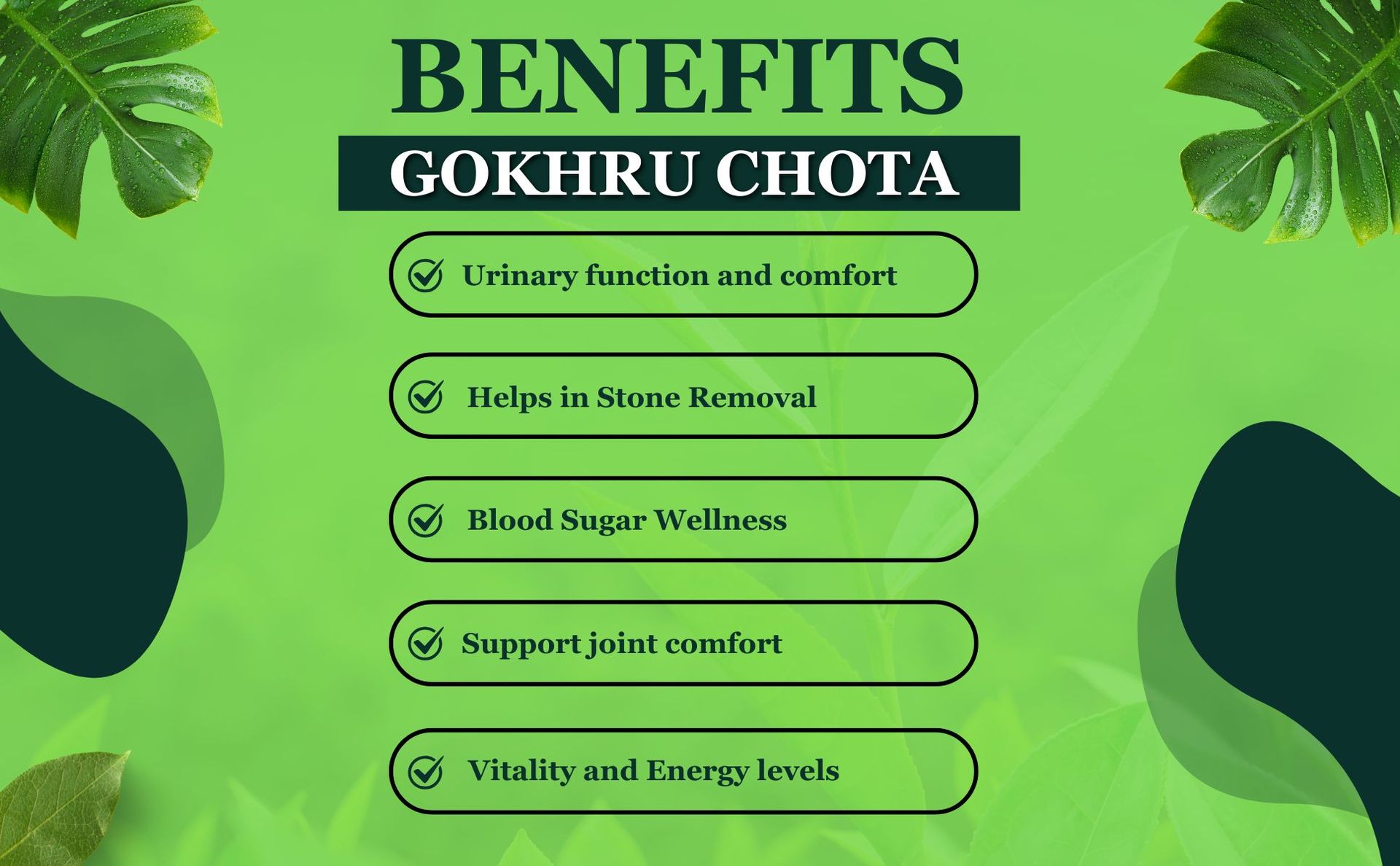 Brijbooti Gokhru Chota 100 Gr - Tribulus Terrestris Seeds - Small Caltrops | FSSAI, GMP, ISO Certified