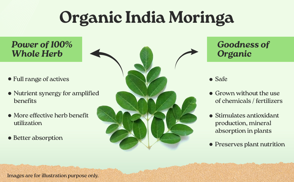 A TATA Product - Organic India Moringa Powder - 100g, Essential Nutrition Superfood, Helps Naturally Boost Energy Levels, Improves Stamina & Vitality, Rich In Vitamins & Minerals