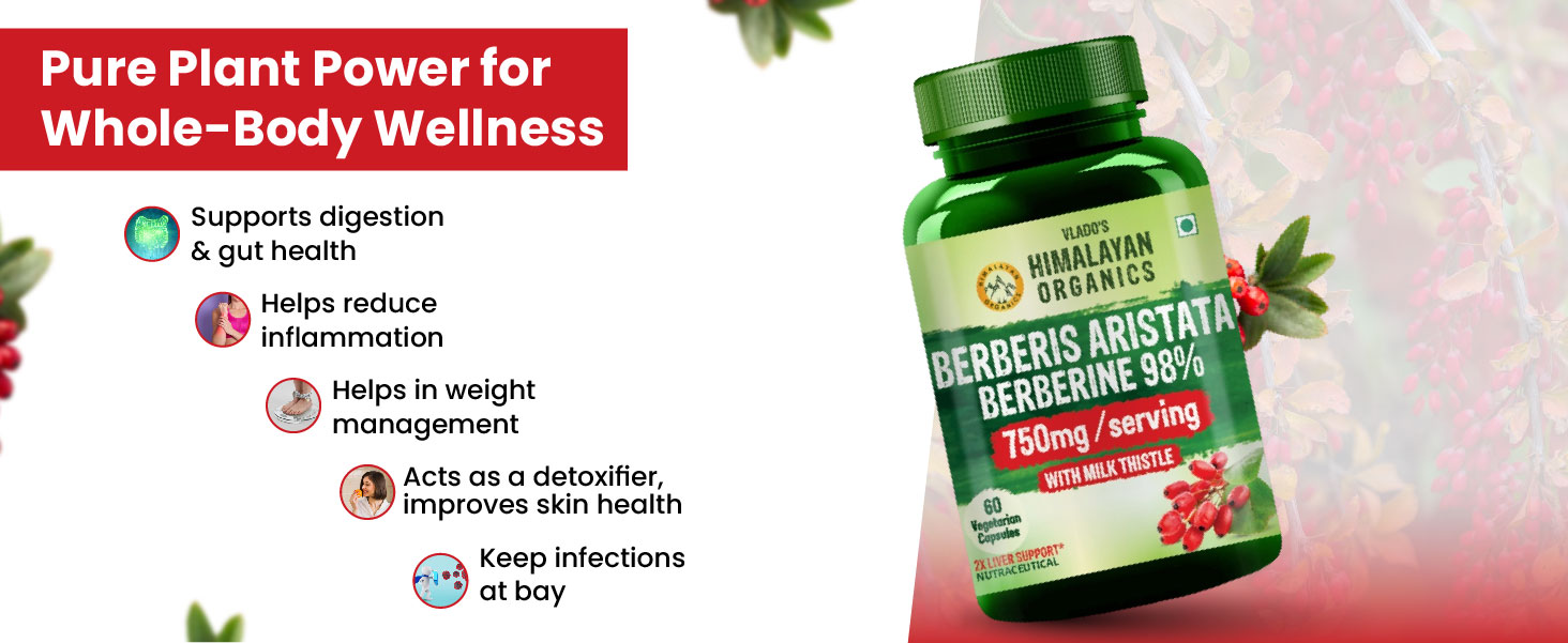 Vlado's Himalayan Organics Berberis Berberine 98% with Milk Thistle I Berberine HCL+ Capsules 750 mg | Berberine Supplements for 2X Liver Support I Control Blood Sugar I Berberis Aristata I Cholesterol Management I, Antioxidant, Anti-inflammatory & Weight Management | Herbal Formula for Detox & Metabolic Wellness - 60 Veg Capsules