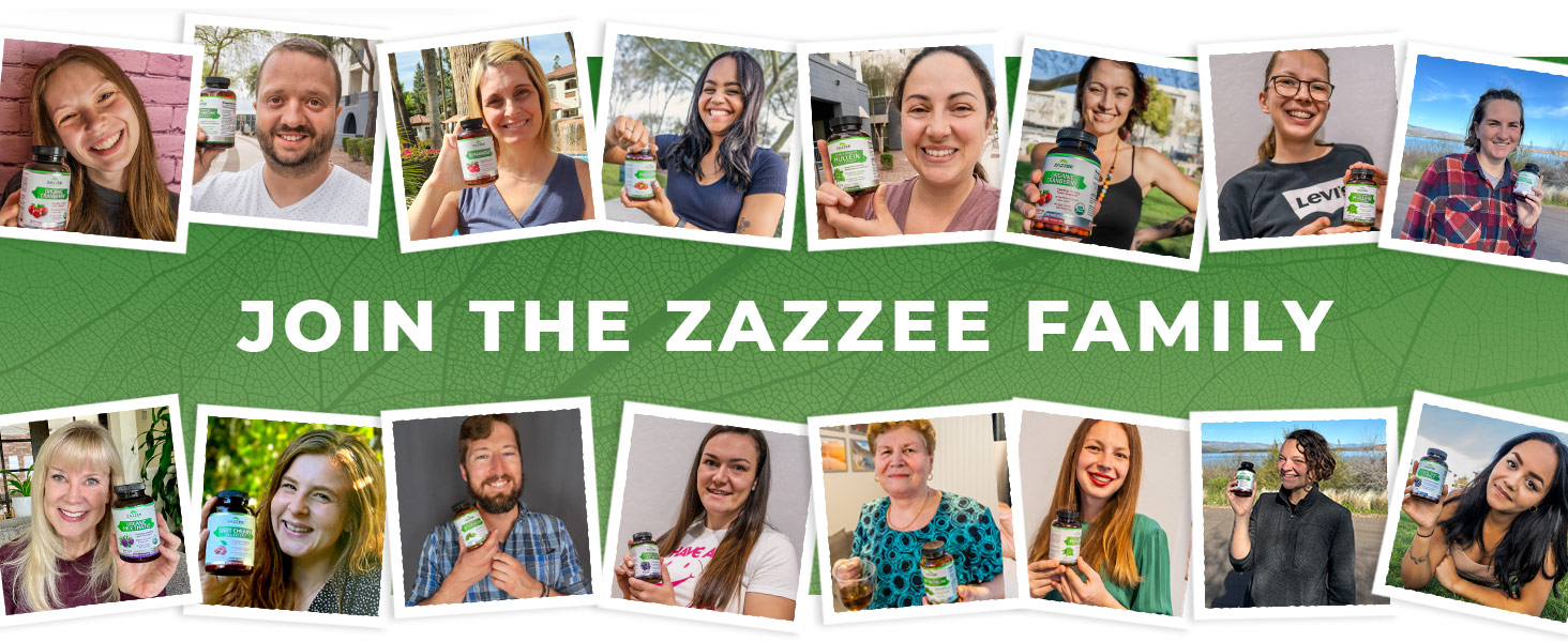 Zazzee USDA Organic Milk Thistle 30:1 Extract, 80% Silymarin, 120 Capsules