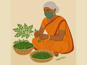 Indiana Organic Moringa Whole Leaves Dry Leaf, Dried Drumstick Tree Leaves, Natural Super-Food – For Making Herbal Tea, Smoothies, Soups - 35 Gram (Pack of 2)