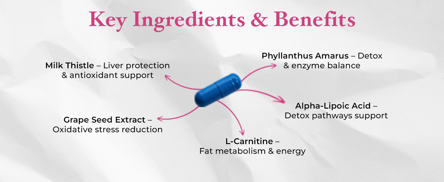 Liver Detox Capsule For Men & Women - Helps To Maintain Healthy Liver Functions and Cholesterol Levels - 60 Capsules