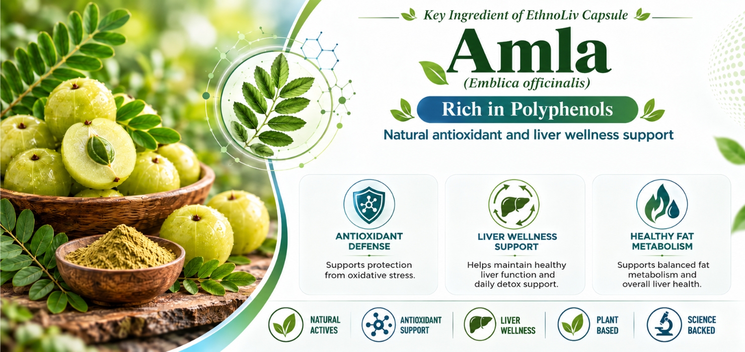 EthnoLiv – Ayurvedic Liver Detox & Metabolism Support Capsules | Fatty Liver Support, Detox & Cleanse | Improves Health, Digestion & Metabolism | Herbal Supplement with Ayurvedic Herbs | 120 Capsules, Pack of 4