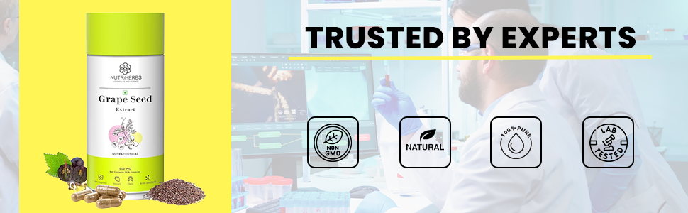 NUTRIHERBS Grape Seed Extract Capsules 500mg - Potent Antioxidant Supplement for Skin & Hair Health, Anti-Aging Support, and Immune Boost - 90 Vegan Capsules Pack of 3