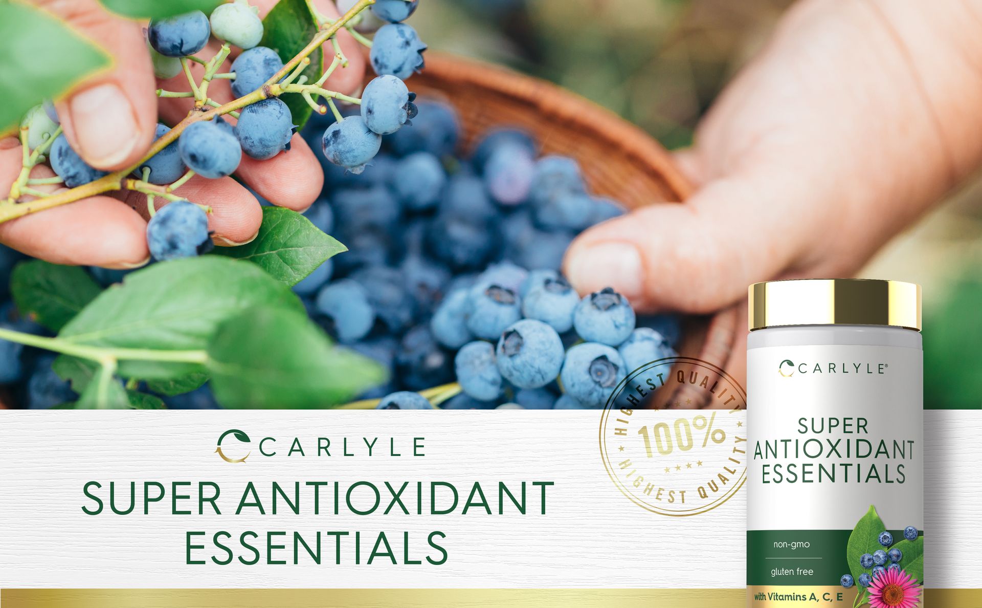 Carlyle Antioxidants Supplement | 100 Caplets | Nutritional Complex