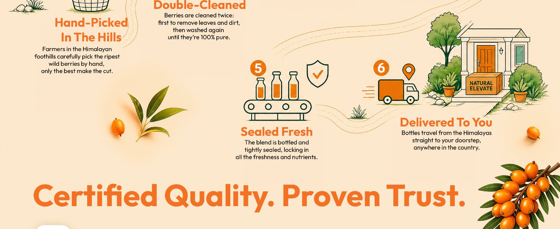Natural Elevate Pure Himalayan Sea Buckthorn Juice 600ml | Cold-Pressed Sea Buckthorn Pulp Concentrate | Rich in Omega 3, 6, 7 & 9 + Vitamin C | Antioxidant-Rich Nutraceutical | Supports Immunity, Skin, Heart & Gut Health | No Added Sugar | Lab Tested