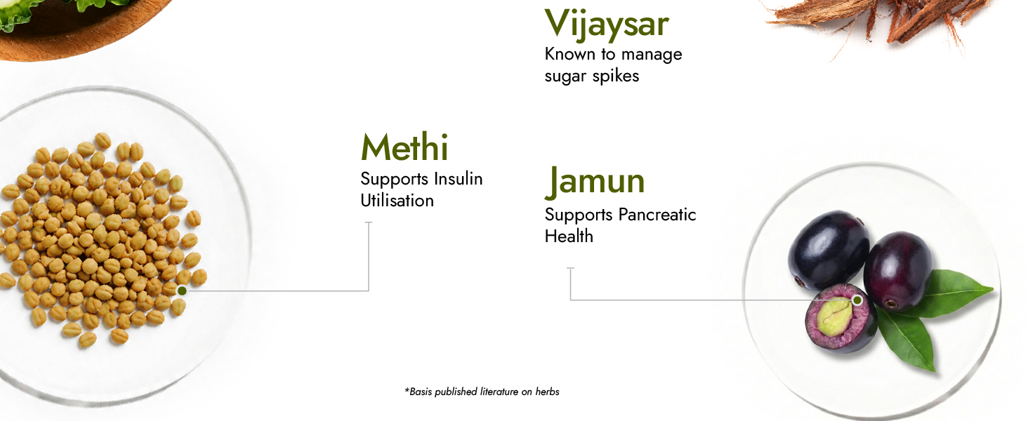 Kapiva Dia Free Juice, 4L | Scientifically designed formulation to support sugar levels | Karela, Vijaysar and 9 Herbs