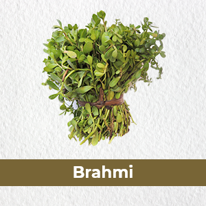 Kerala Ayurveda Brahmi Ghritham 150 ml