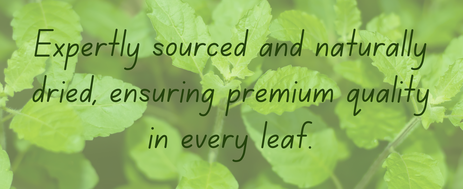 ManHar Organics Dried Tulsi Leaves 120g