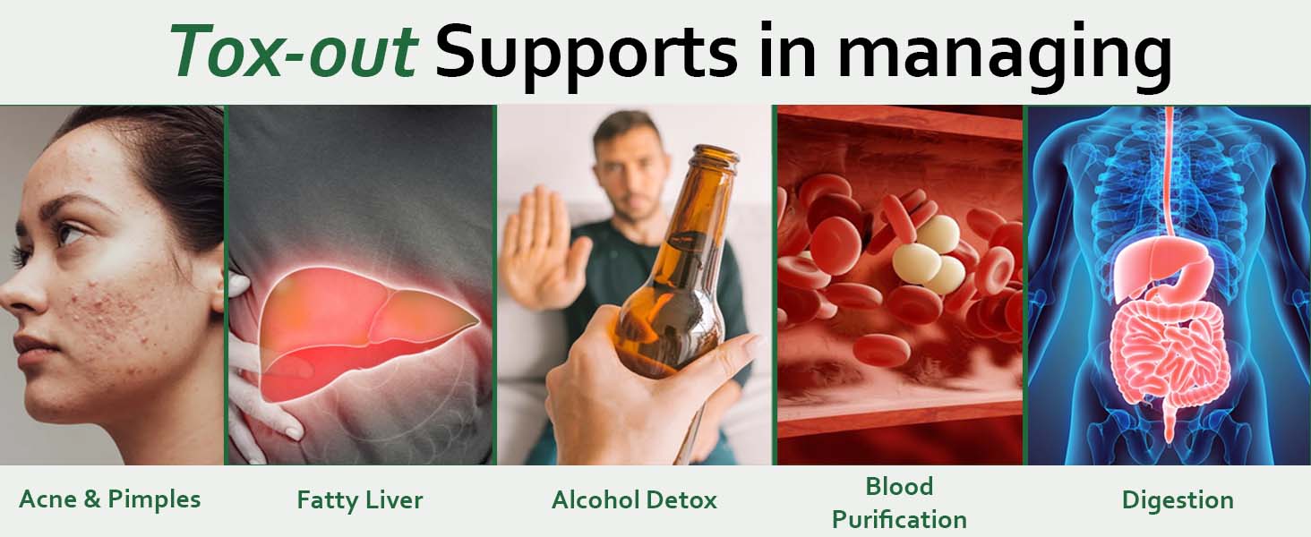 SAABHI Tox-out Liver Detox Juice 500ML | Kidney Care & Body Detox Supplement | Amla, Punarnava, Bhumi Amla | Blood Purifier & Digestive Health | 100% Ayurvedic AYUSH Approved