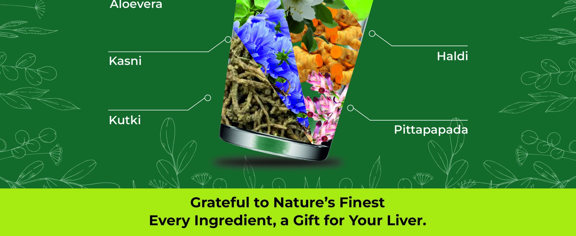 Four Seasons Pure Ayurvedic Liver Detox & Care Juice – Natural Fatty Liver Support Tonic with Bhumi Amla, Kalmegh & Punarnava – 100% Herbal & Sugar-Free 1L (Pack of 1)
