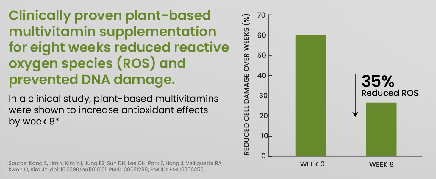 Vlado’s Himalayan Organics Multivitamin Tablets for Men & women With Probiotics - 60+ Ingredients multi Vitamins Supplement For Men And Women | VItamin B1,B2,B3,B5,B6B9,B12,C,E,A,K2,D Magneisum with 5B CFU Probiotic Blends with Multi minerals for Boost Stamina, Strength overall wellness - 60 Veg Tablets