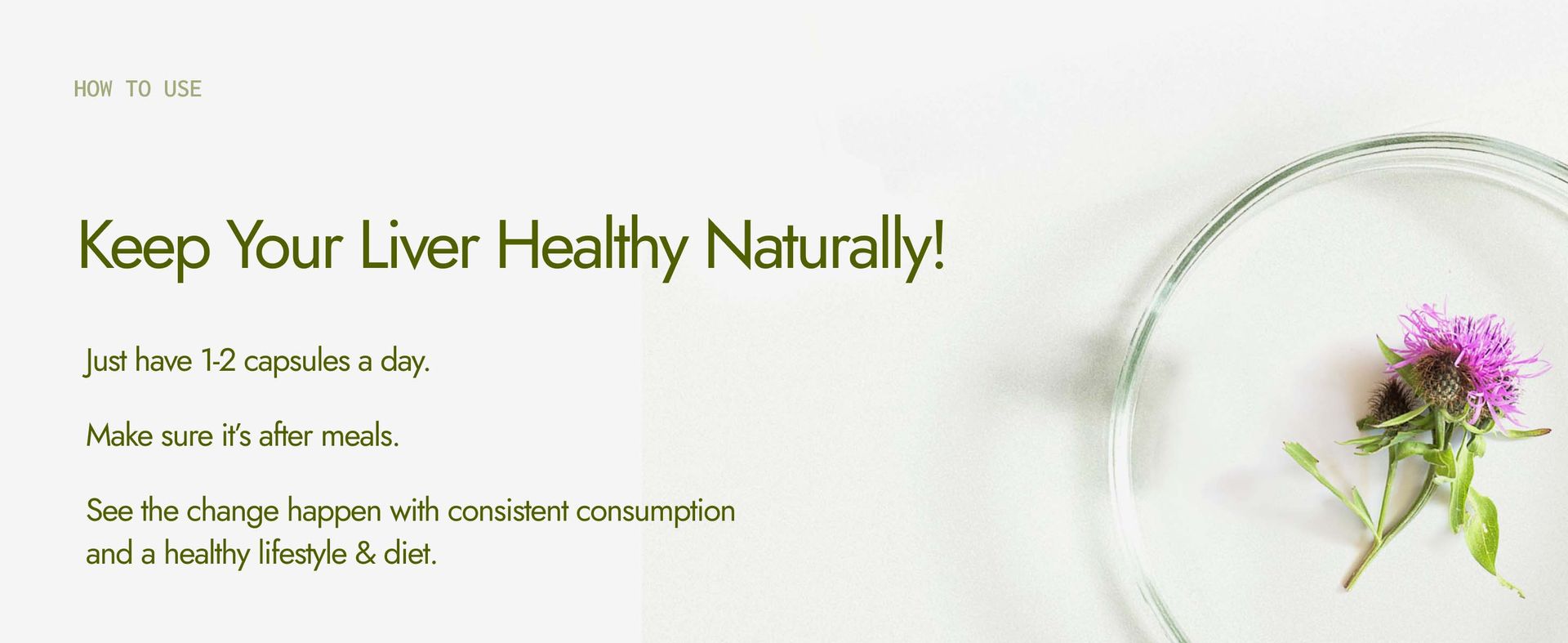 Kapiva Milk Thistle Capsules (120N) | With 70% Silymarin | Supports Liver & Immune System | Vegan, Preservative-Free | Liver Detox Supplement