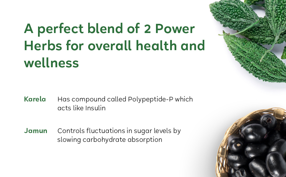 Kapiva Karela Jamun Juice (2L) | Controls Blood Sugar Levels, Lowers Bad Cholesterol | Diabetic Care - Super Saver Pack of 2