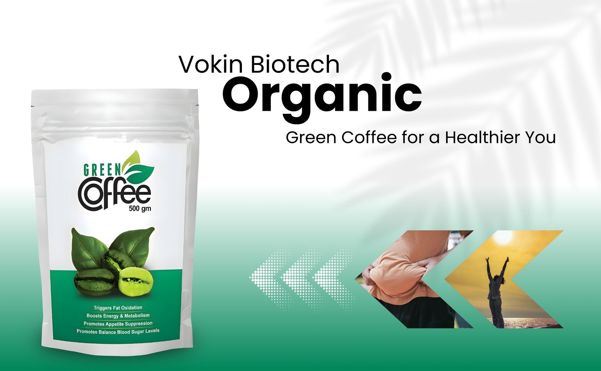 Vokin Biotech Organic Green Coffee Beans Unroasted Arabica Coffee Supports Weight Loss Management (500 Gram)-pack of1