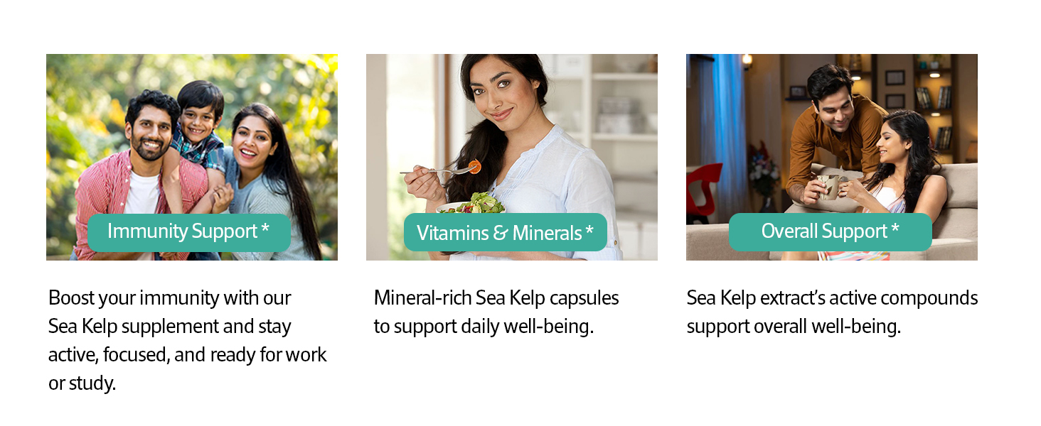 Sea Kelp Capsules 600mg 120 Veg Capsules - Icelandic Laminaria Digitata Thyroid Supplement - Natural Antioxidant for Metabolism & Hormone Balance- Sea Kelp Supplement for Iodine Support