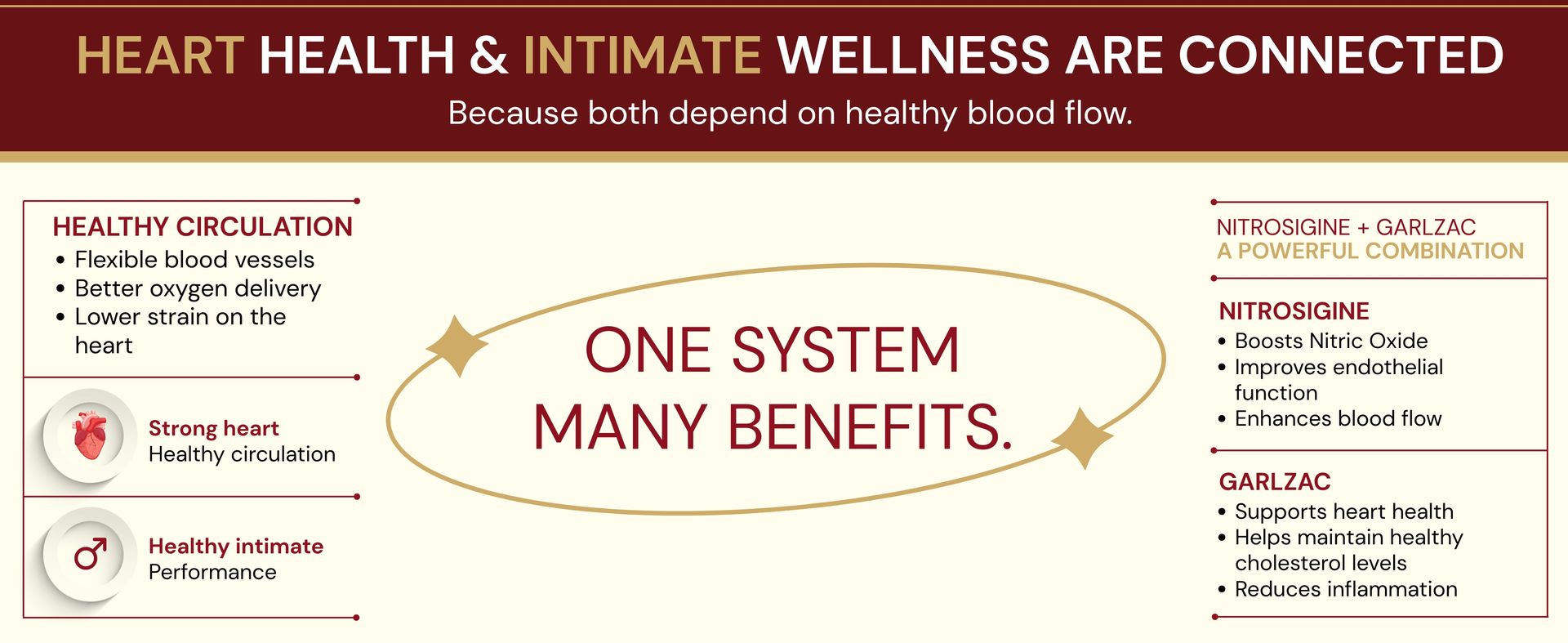 Enlarge™ in you | Patented Blood Flow & Heart Health Nutrition | Nitrosigine® (5X More Efficient Than L-Arginine) + Garlzac® + Tribulus + Grape Seed + Fenugreek + Zinc + B12 | Men's Strengh & Vitality