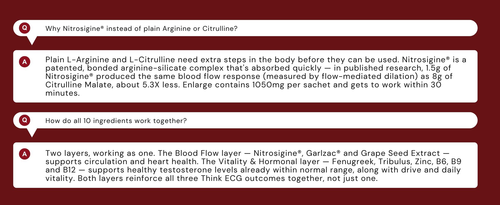 Enlarge™ in you | Patented Blood Flow & Heart Health Nutrition | Nitrosigine® (5X More Efficient Than L-Arginine) + Garlzac® + Tribulus + Grape Seed + Fenugreek + Zinc + B12 | Men's Strengh & Vitality