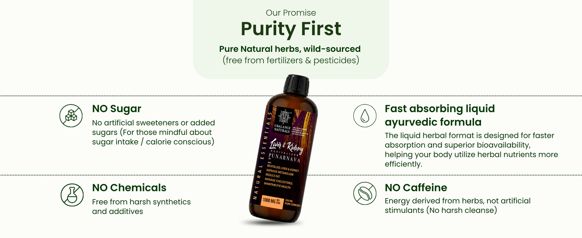 Liver & Kidney Revitalizer | Detox Support I 250 ML