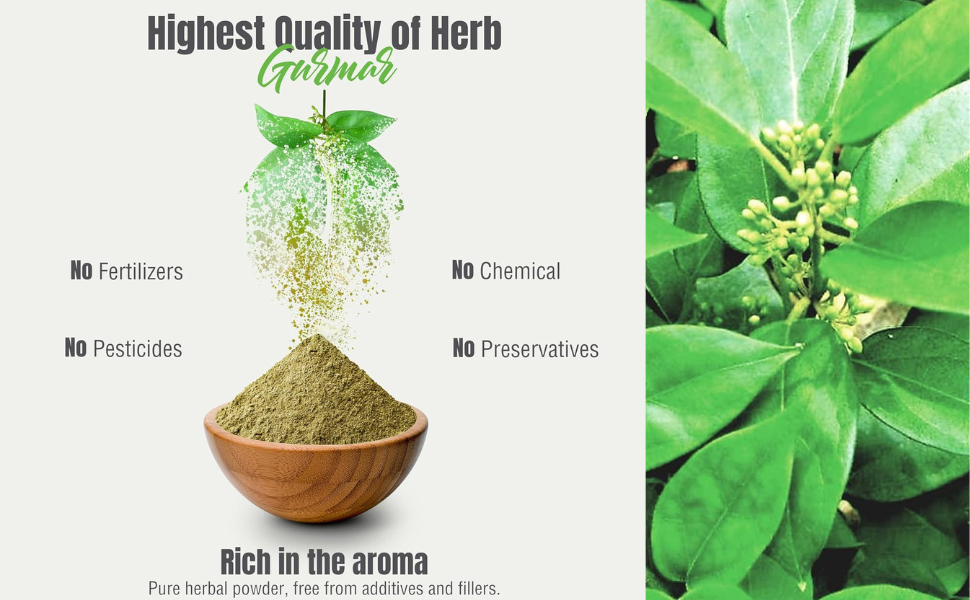 Herbal Hills Gurmar Powder - 100g each (Pack of 2)