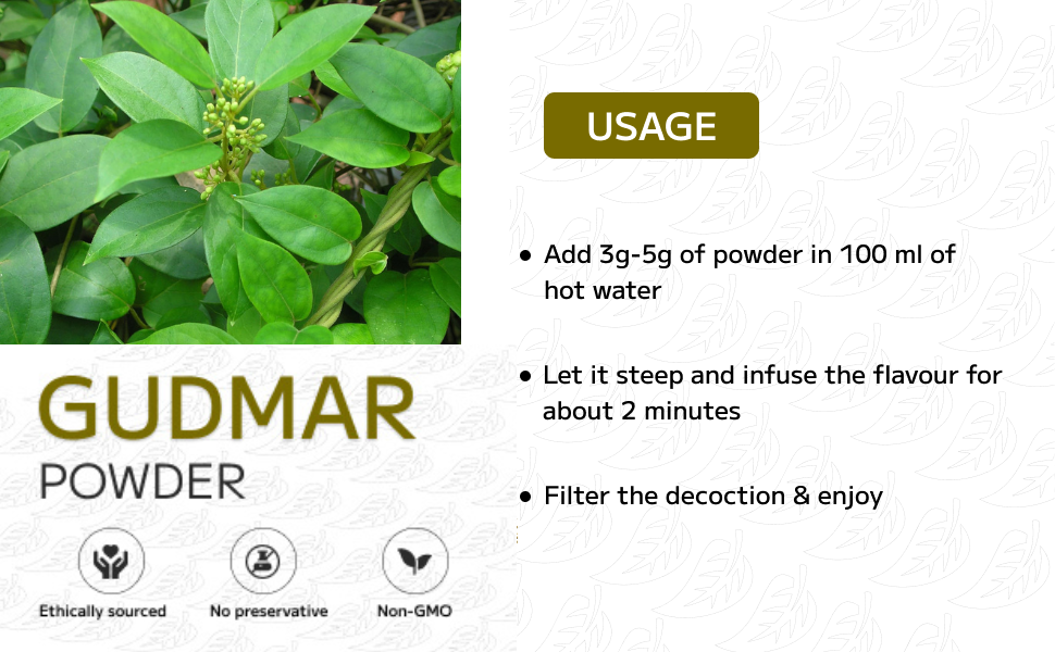 Herbal Hills Gurmar Powder - 100g each (Pack of 2)
