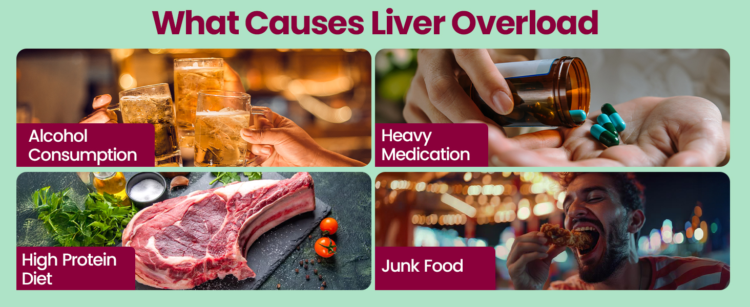 Fast&Up Liver Detox |Cleanse & Protect Liver| Milk Thistle Extract | N-Acetylcysteine (NAC) | Eliminates Toxins | Liver Recovery | Improved Liver Health (40 Effervescent Tablets, Mixed Berry Flavor)