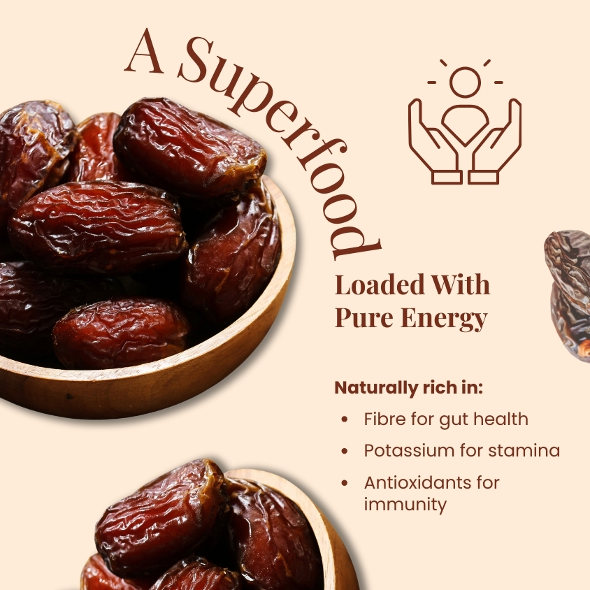 Majestic Premium Medjool Pista Filled Dates – 500g | Handpicked Soft & Juicy Medjool Dates Stuffed with Crunchy Roasted Pistachios | Naturally Sweet Gourmet Snack | Protein-Rich, High-Fiber, Nutrient-Packed Superfood | No Added Sugar, No Preservatives | Perfect for Healthy Snacking, Fitness Diets & Festive Gifting | Hygienically Packed for Freshness & Quality